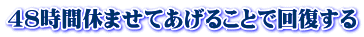 48時間休ませてあげることで回復する 