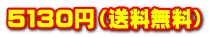 ５１３０円（送料無料） 