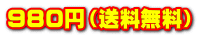 ９８０円（送料無料） 