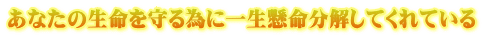 あなたの生命を守る為に一生懸命分解してくれている 